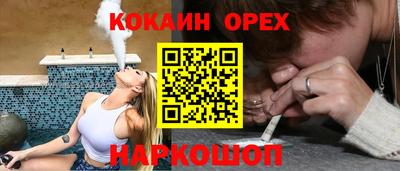 jwh Кингисепп