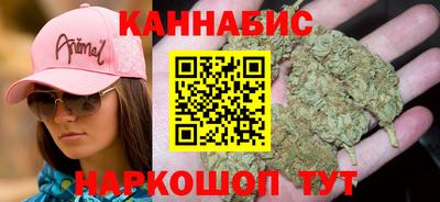 jwh Кингисепп