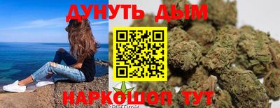 jwh Кингисепп