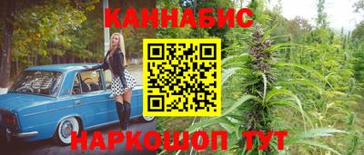 jwh Кингисепп
