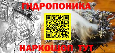 jwh Кимры