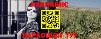 jwh Кингисепп