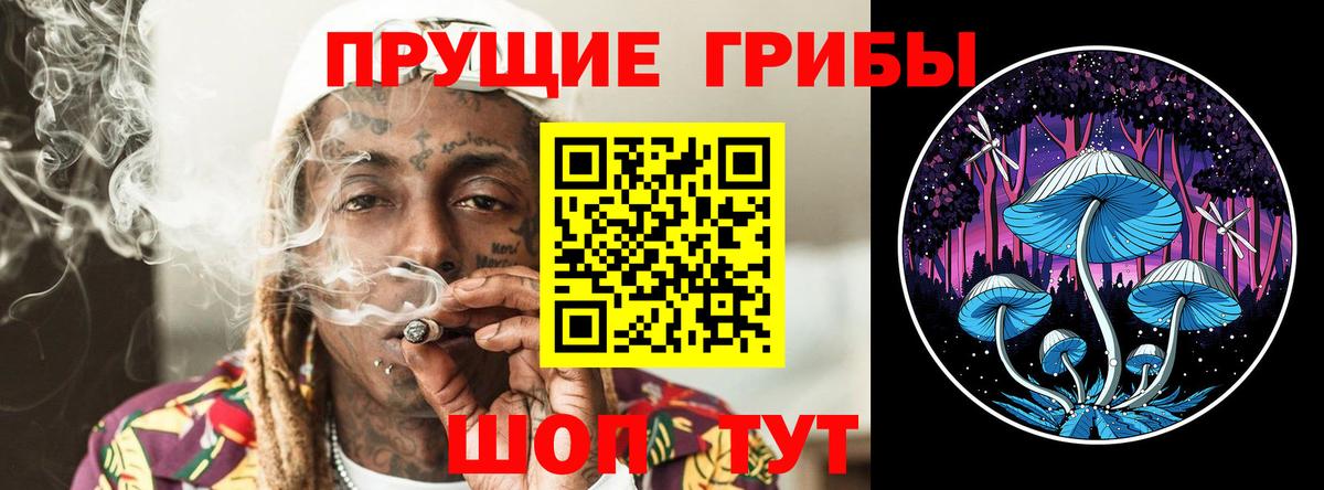 Галлюциногенные грибы мицелий  Псилоцибиновые грибы Magic Shrooms  Карачаевск  Вход с VPN 